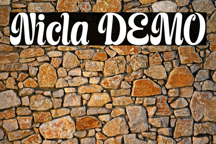 Nicla DEMO Example 2