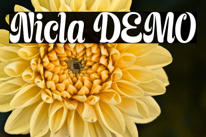 Nicla DEMO Example 3