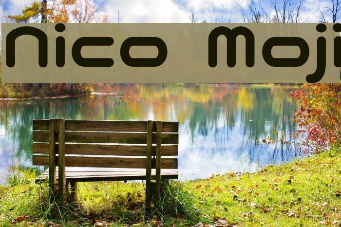 Nico Moji Example 2