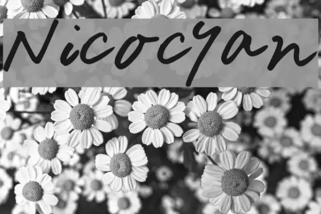 Nicocyan Font examples
