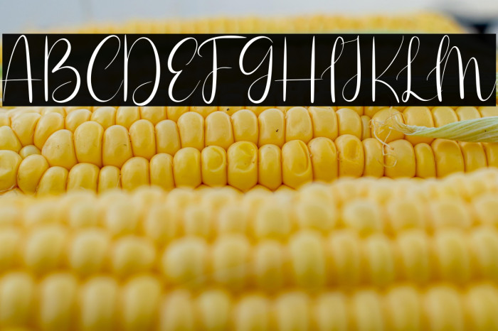 Nicola Aquine Example 1