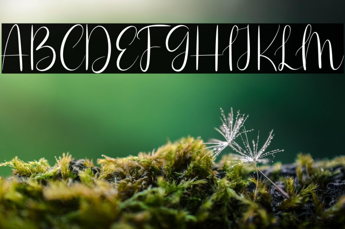 Nicola Aquine Example 2