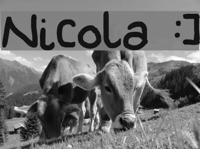 Nicola :] Example 2