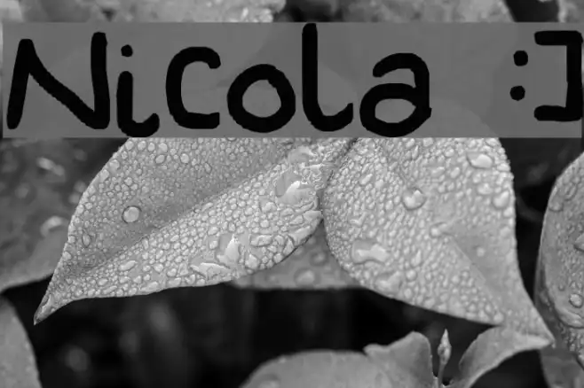 Nicola :] Example 3