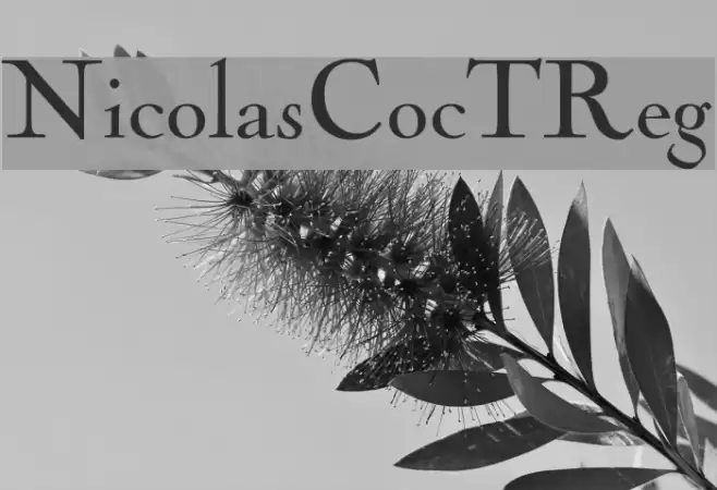 NicolasCocTReg  examples