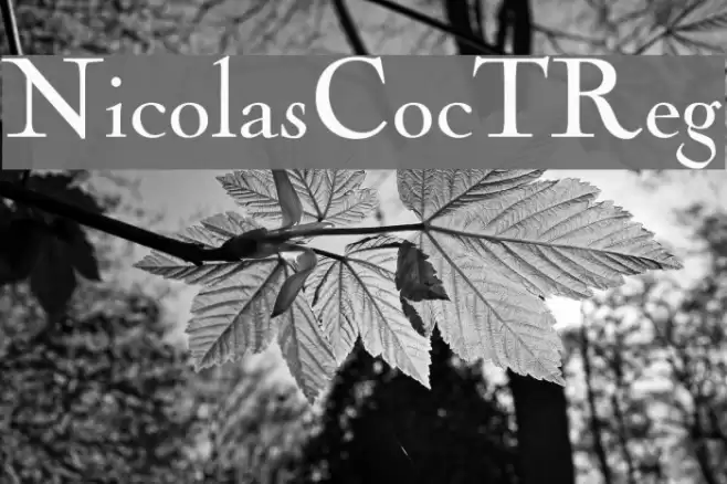 NicolasCocTReg  examples