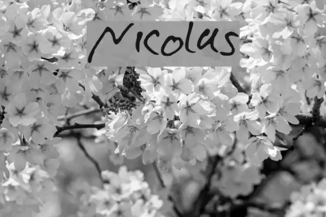 Nicolas Font examples