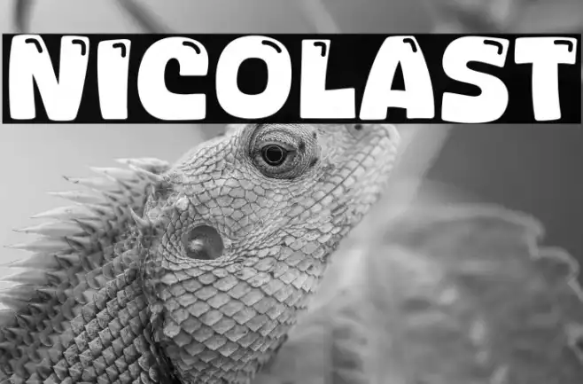 Nicolast Example 1