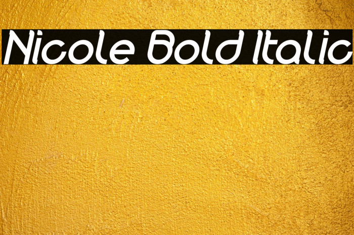 Nicole Bold Italic Example 1