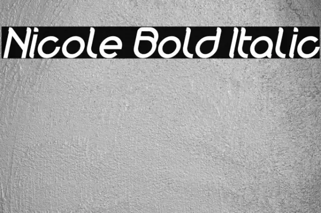 Nicole Bold Italic Example 1