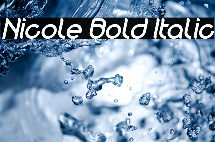 Nicole Bold Italic Example 2