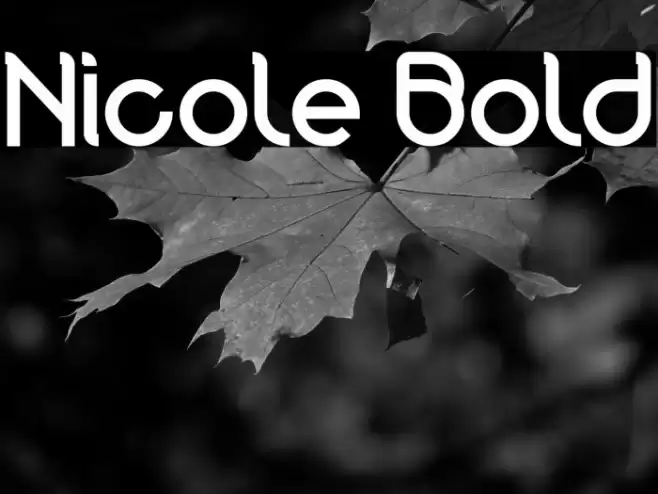 Nicole Bold Font examples