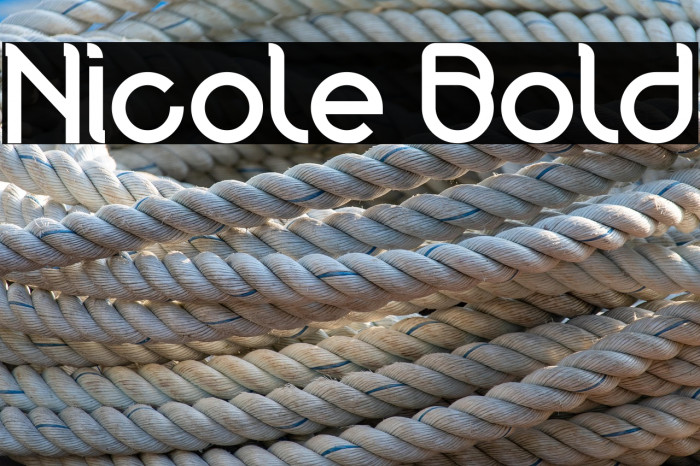 Nicole Bold Example 2
