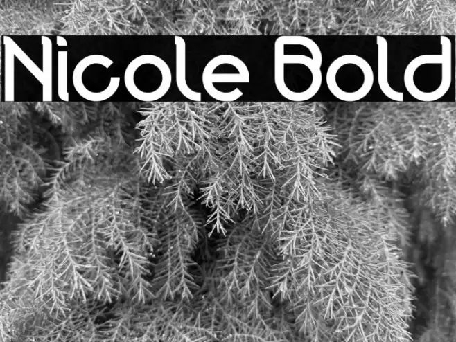 Nicole Bold Font examples