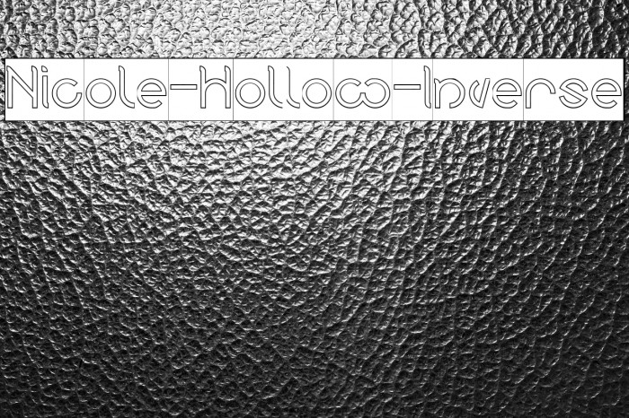 Nicole-Hollow-Inverse Example 1