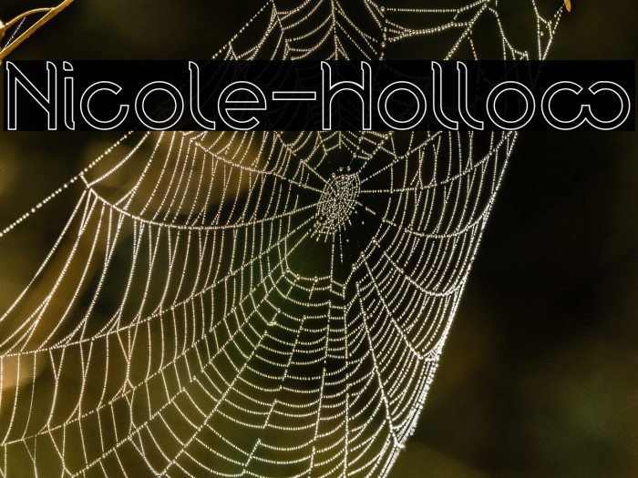 Nicole-Hollow Example 1