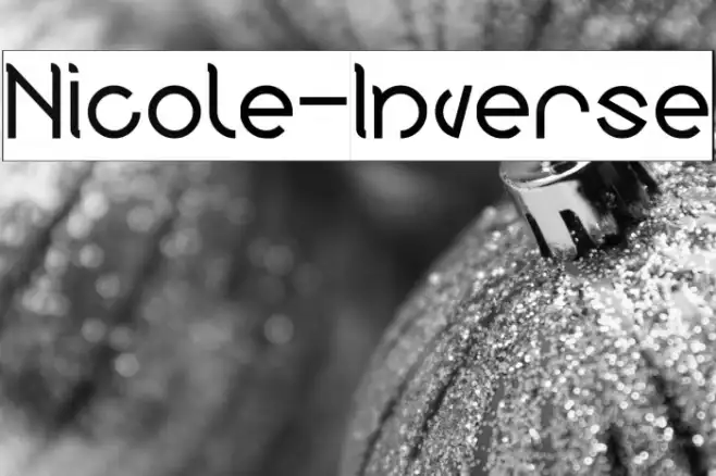 Nicole-Inverse Example 1