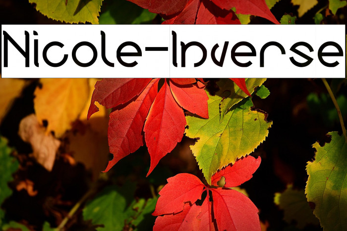 Nicole-Inverse Example 2