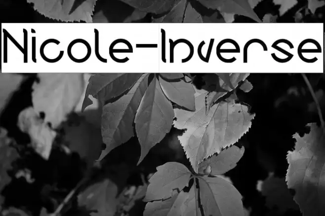 Nicole-Inverse Example 2