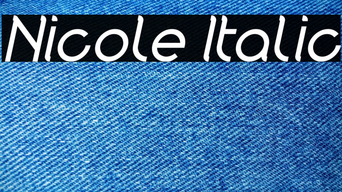 Nicole Italic Example 1