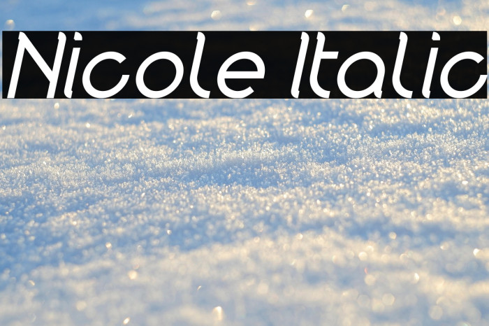 Nicole Italic Example 2