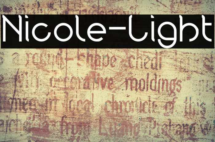 Nicole-Light Example 1