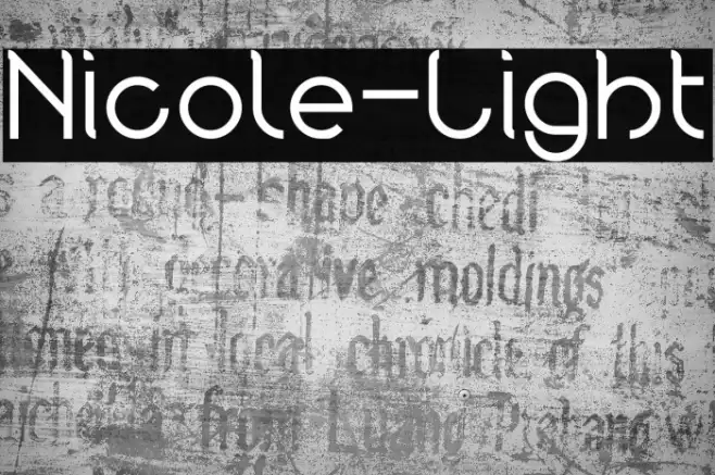 Nicole-Light Example 1