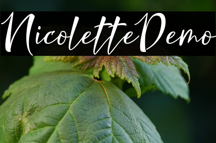 NicoletteDemo Example 1
