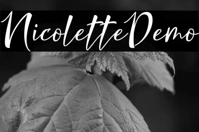 NicoletteDemo Example 1