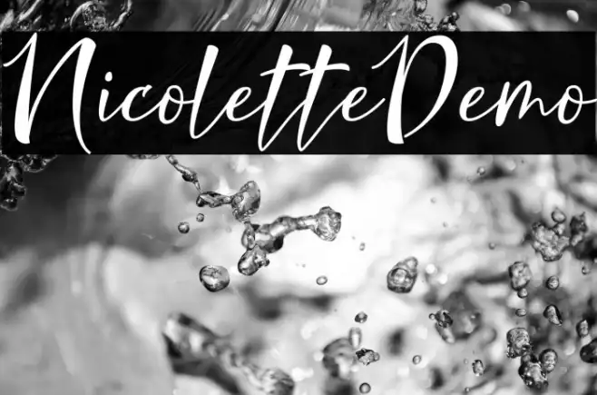 NicoletteDemo Example 2