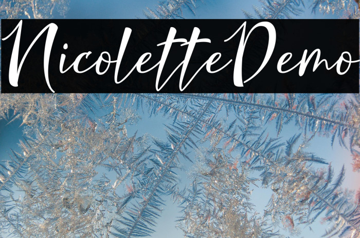 NicoletteDemo Example 3