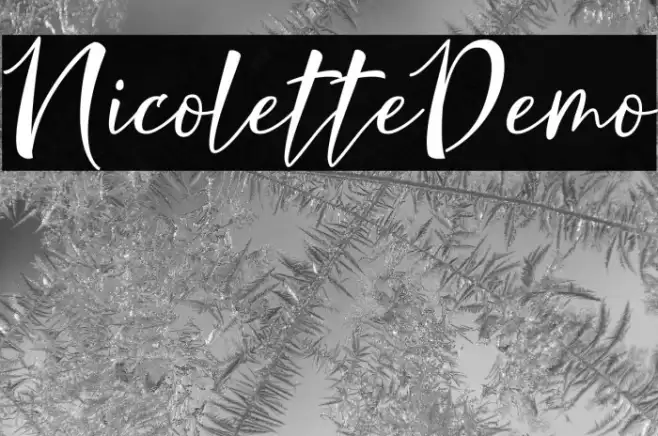 NicoletteDemo Example 3