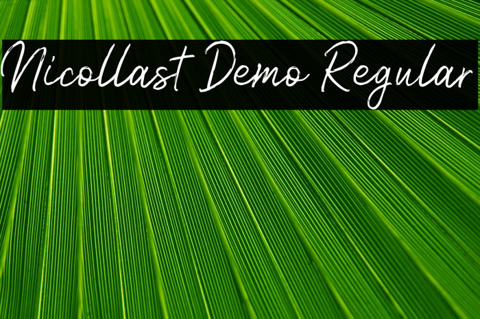 Nicollast Demo Regular Font examples
