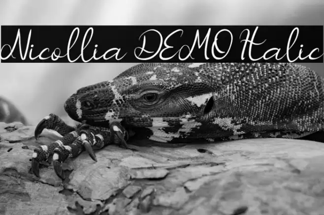 Nicollia DEMO Italic Font examples