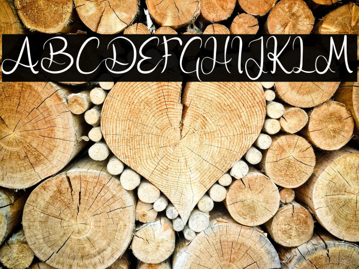 Nicollia DEMO Example 1