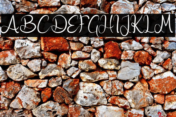 Nicollia DEMO Example 3