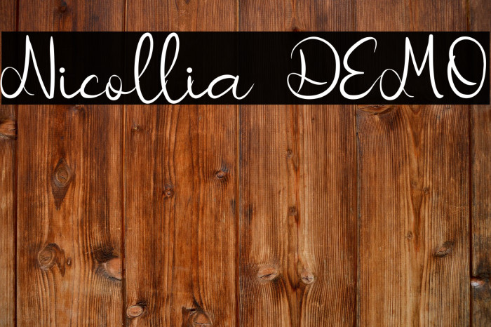 Nicollia DEMO Example 1