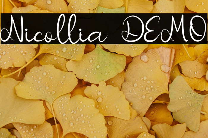 Nicollia DEMO Example 2