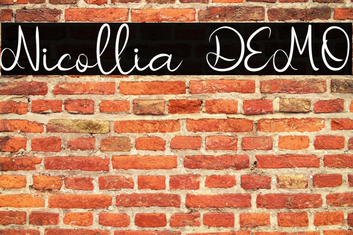 Nicollia DEMO Example 3