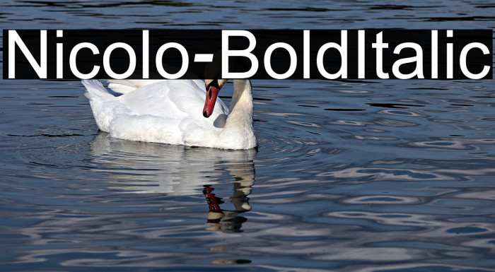 Nicolo-BoldItalic Font examples