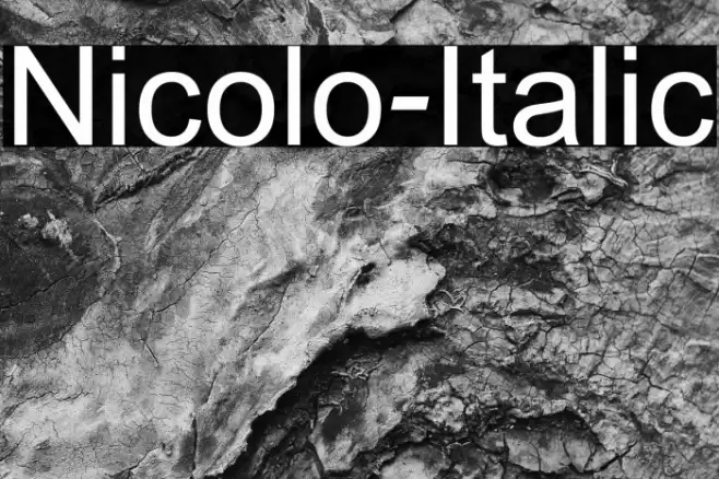 Nicolo-Italic Font examples