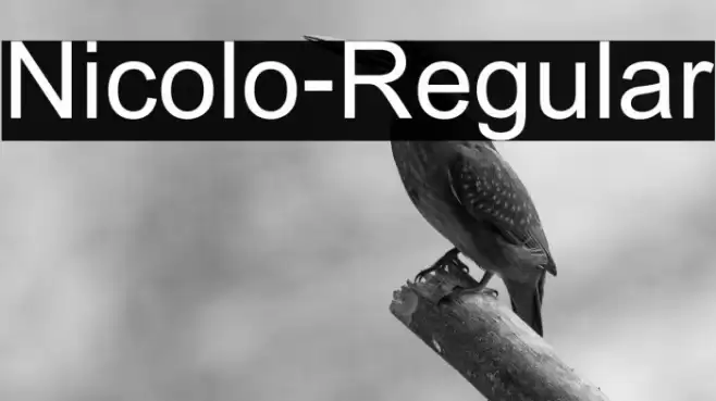 Nicolo-Regular Font examples