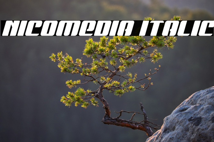 Nicomedia Italic Example 1