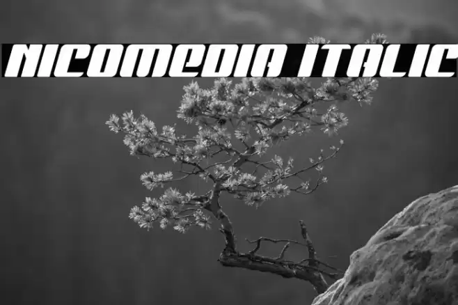 Nicomedia Italic Font examples
