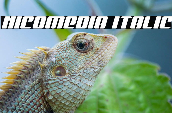 Nicomedia Italic Example 3