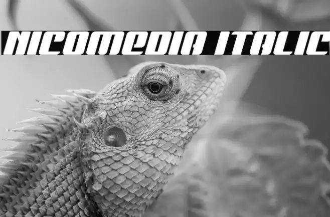 Nicomedia Italic Font examples