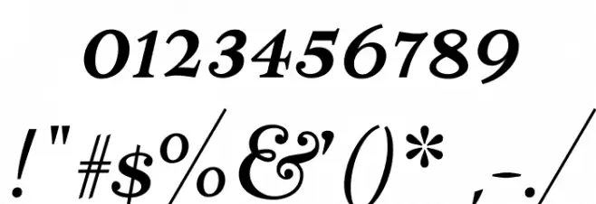 Nicone-Regular フォント その他の文字