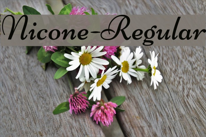 Nicone-Regular Font examples