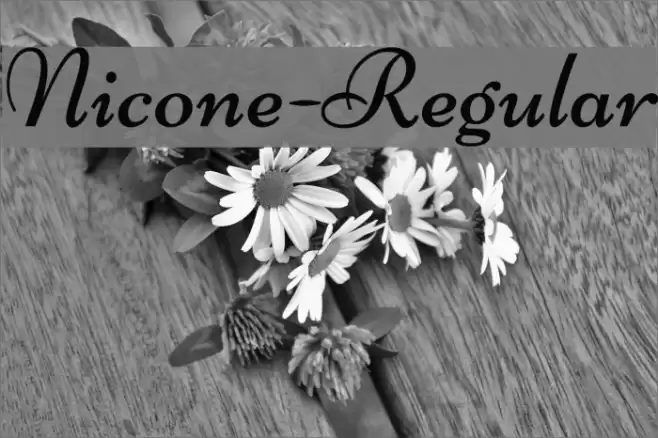 Nicone-Regular フォント examples