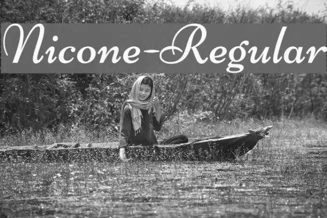 Nicone-Regular フォント examples